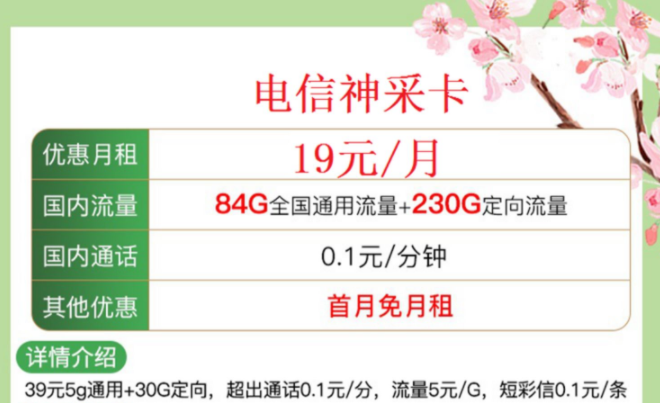 中國電信正規(guī)流量卡 【電信神采卡、極致卡】僅需19元首月免費(fèi)全國通用手機(jī)上網(wǎng)卡